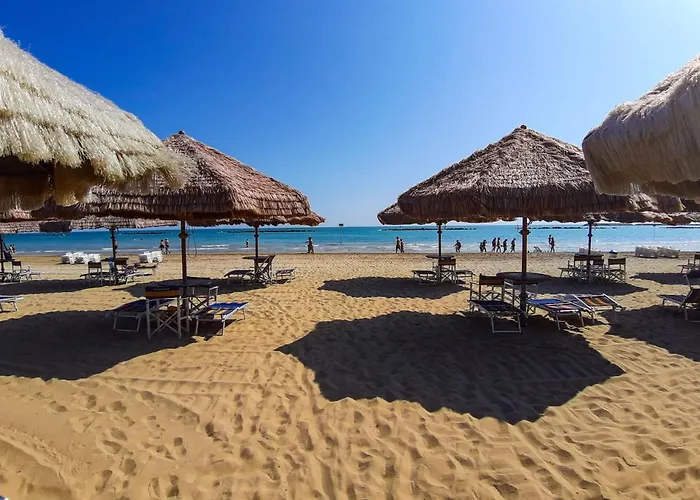 Novatek 201 Exclusive Отель типа 