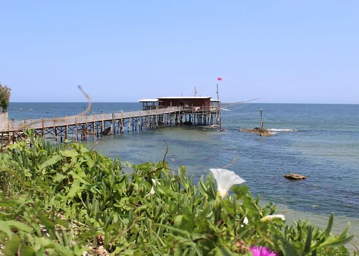 Novatek 201 Exclusive