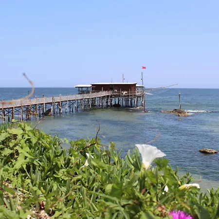 Novatek 201 Exclusive