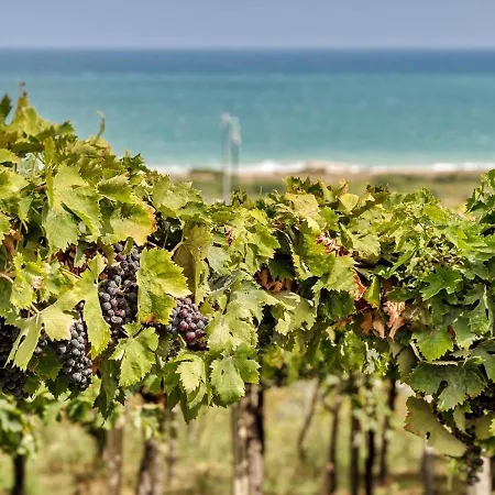 Novatek 201 Exclusive 4*