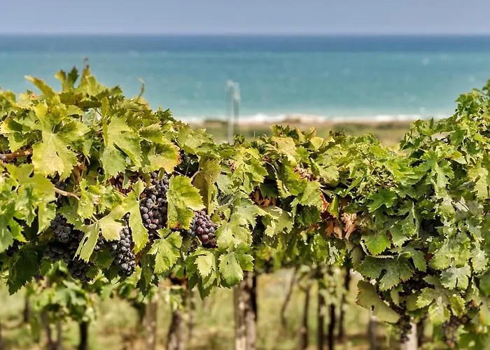 Novatek 201 Exclusive 4*